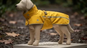 Vector graphic of an underbelly-coverage rain jacket for dog walking to keep pets clean from mud and slush.